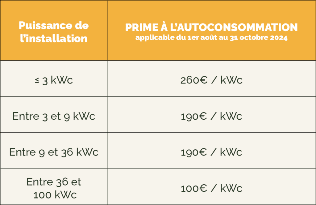 découvrez comment l'autoconsommation permet aux particuliers de produire et consommer leur propre énergie, réduisant ainsi leurs factures et leur impact environnemental.