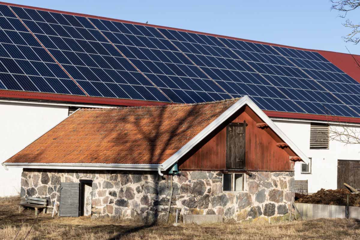 découvrez nos tarifs compétitifs sur les solutions solaires et explorez les avantages d'un investissement durable pour un avenir respectueux de l'environnement. profitez d'une transition énergétique rentable et écoresponsable.
