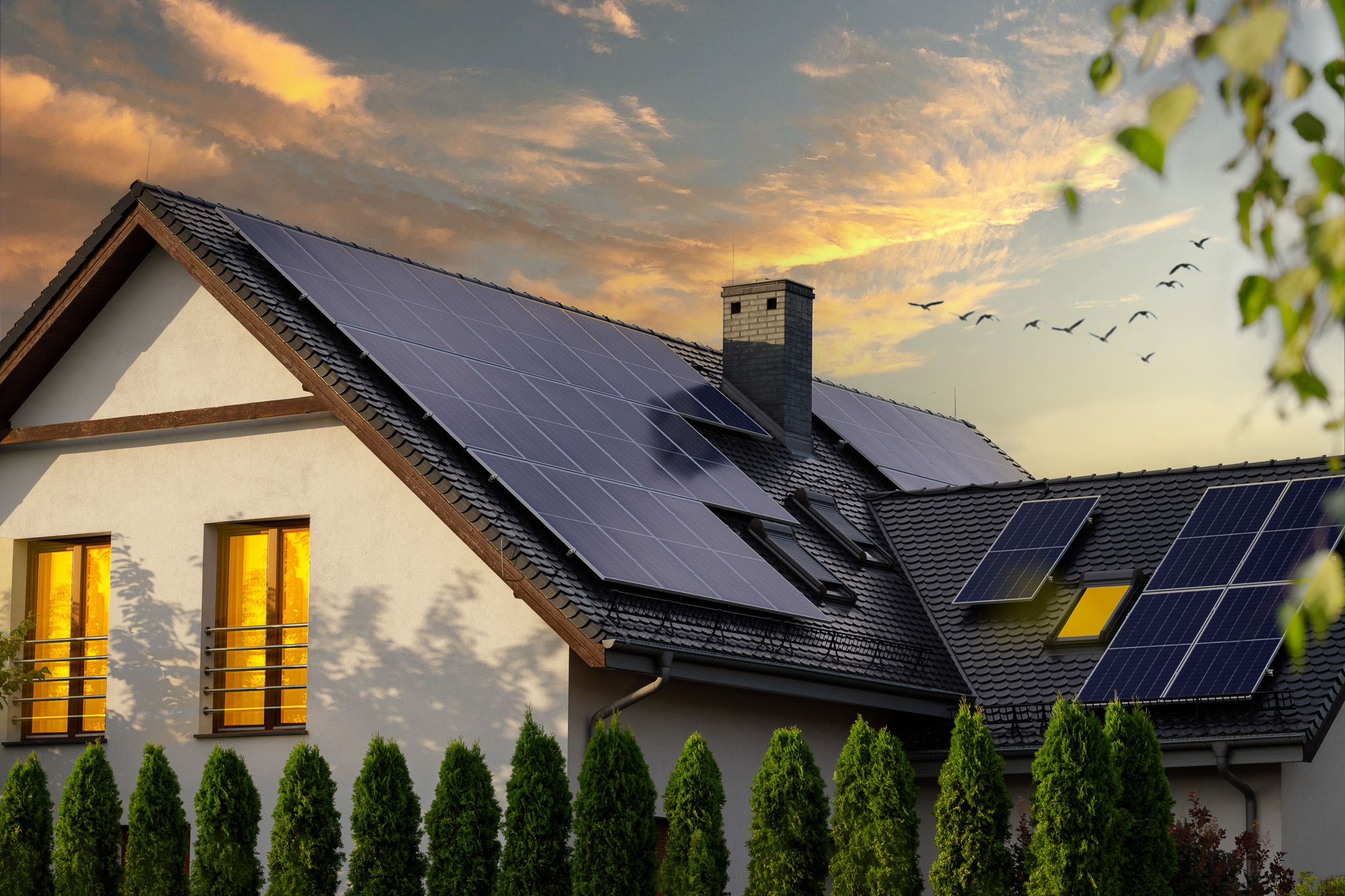 découvrez les prix des panneaux solaires mylight et faites le choix d'une énergie renouvelable efficace et économique pour votre maison. profitez d'offres attractives et d'une qualité supérieure pour optimiser votre investissement énergétique.