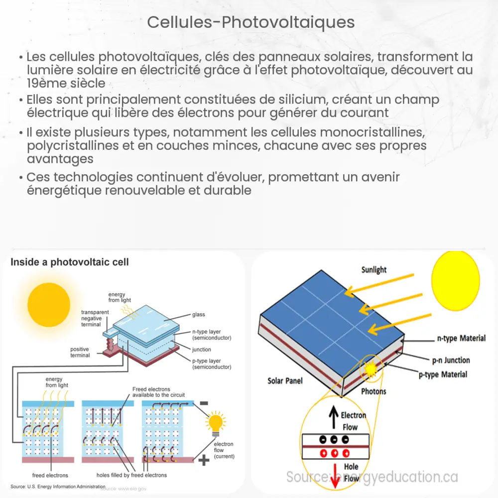 découvrez les nombreux avantages des panneaux photovoltaïques monocristallins, qui offrent une efficacité énergétique supérieure, une durabilité accrue et un meilleur rendement, idéal pour maximiser votre production d'énergie renouvelable et réduire vos factures d'électricité.