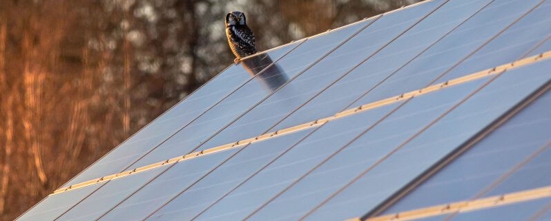découvrez les avantages de l'investissement dans des panneaux photovoltaïques et comment ils peuvent transformer votre consommation d'énergie. profitez d'économies sur vos factures, d'un rendement attractif et d'un geste pour l'environnement grâce à cette technologie durable.