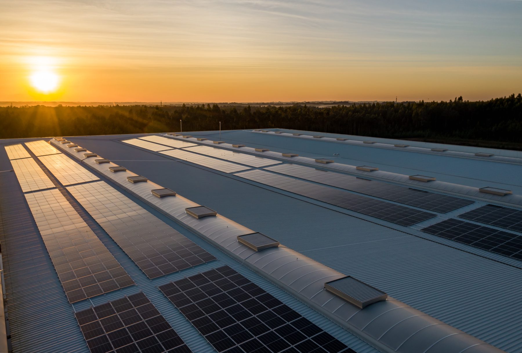 découvrez comment les régulations influencent le prix des panneaux solaires. analyse des politiques actuelles, des subventions et des impacts économiques sur le marché solaire en france.