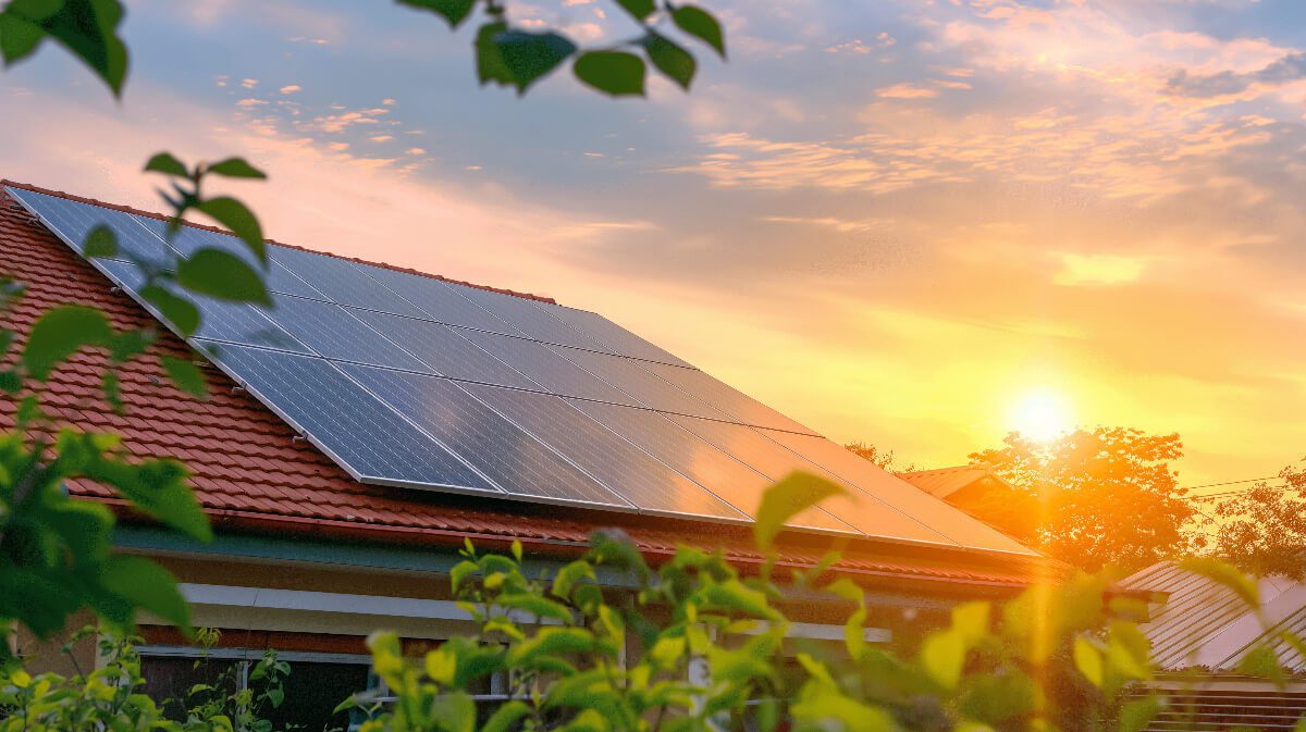 découvrez nos tarifs compétitifs sur les panneaux solaires et économisez sur votre facture d'électricité tout en contribuant à la protection de l'environnement. obtenez des informations détaillées sur les différents modèles et les aides disponibles pour votre projet d'énergie renouvelable.
