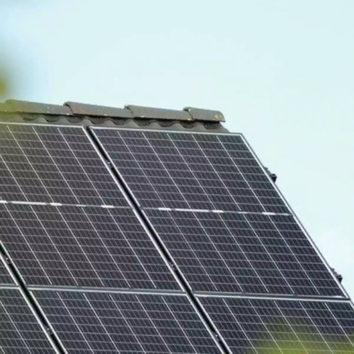 découvrez les avantages des panneaux photovoltaïques chinois : une solution écologique et économique pour produire votre propre énergie. performances optimales, coût compétitif et durabilité, explorez comment ces technologies peuvent transformer votre consommation énergétique.