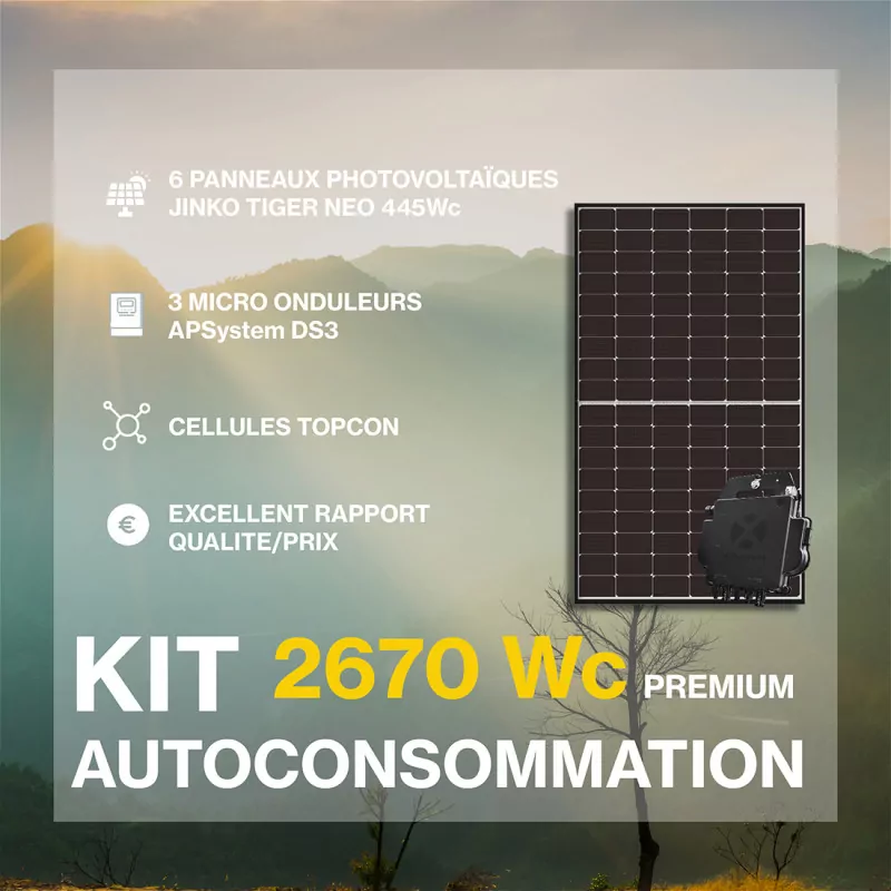 découvrez tout ce qu'il faut savoir sur les prix des panneaux solaires. comparez les offres, les marques et les subventions disponibles pour investir intelligemment dans l'énergie solaire et réduire vos factures d'électricité.