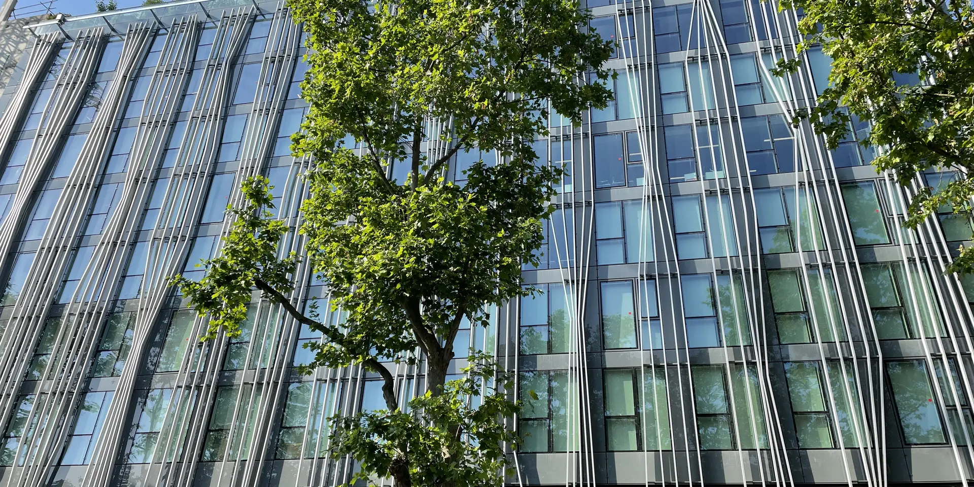 découvrez des astuces pratiques pour adopter la sobriété énergétique cet hiver. apprenez à réduire votre consommation d'énergie tout en restant au chaud et en préservant la planète. optimisez votre confort tout en faisant des économies.