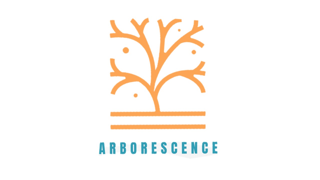 découvrez les enjeux cruciaux de l'arborescence dans la structuration des informations. explorez comment une bonne organisation peut améliorer l'expérience utilisateur, faciliter la navigation et optimiser le référencement de votre site.