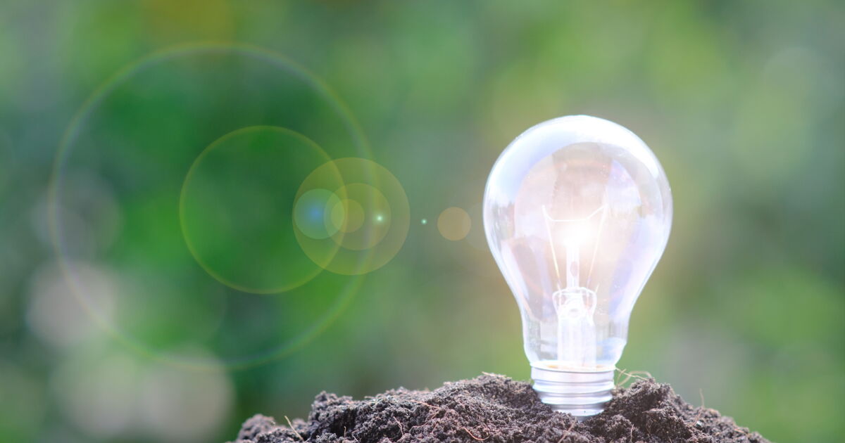 découvrez des initiatives innovantes en matière de planification écologique, visant à promouvoir une gestion durable des ressources naturelles et à préserver notre environnement pour les générations futures.