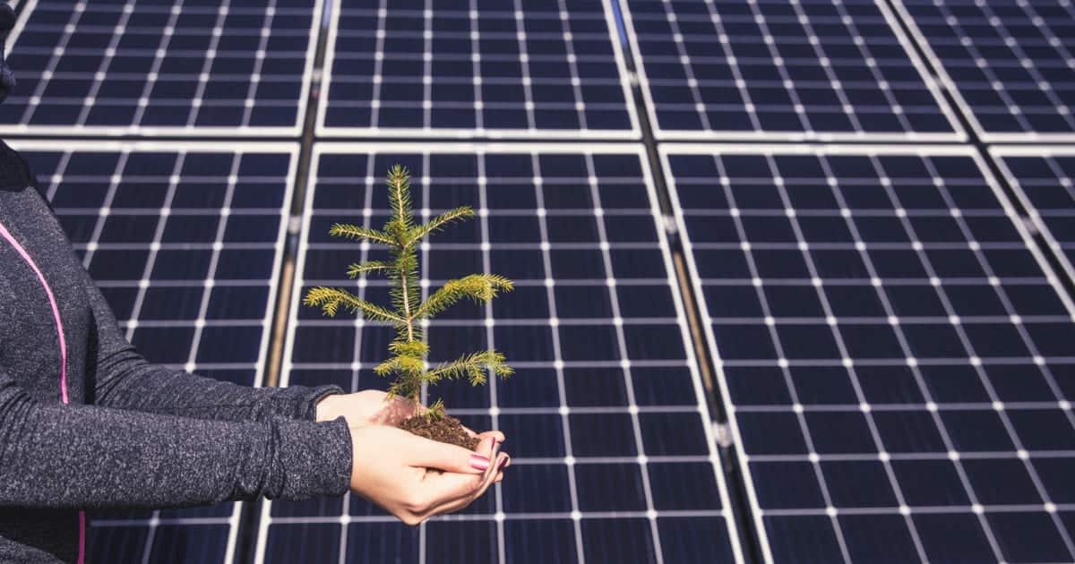 découvrez comment les panneaux photovoltaïques façonnent l'avenir de l'énergie renouvelable. explorez les dernières innovations, tendances et avantages de cette technologie durable pour un monde plus vert.