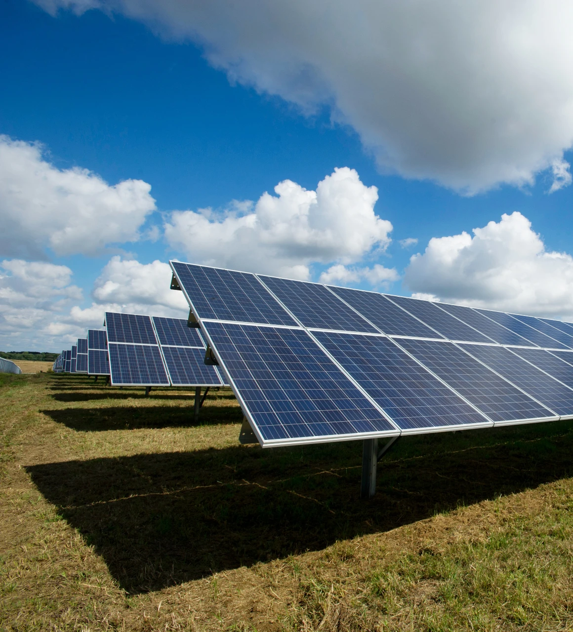 protégez votre investissement avec notre assurance dédiée aux panneaux photovoltaïques. bénéficiez d'une couverture optimale contre les risques de dommages et assurez la performance de votre installation solaire. découvrez des solutions d'assurance adaptées à vos besoins.