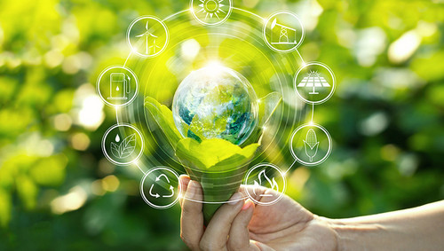 découvrez nos avis sur l'innovation durable : tendances, technologies et initiatives qui transforment notre monde pour un avenir plus responsable et respectueux de l'environnement.