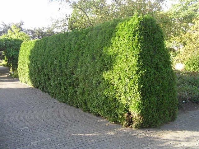 demandez votre devis gratuit pour un bonnet paysagiste et transformez votre jardin en un espace de rêve. nos experts sauront vous conseiller sur les meilleures options pour embellir votre extérieur. contactez-nous dès aujourd'hui !