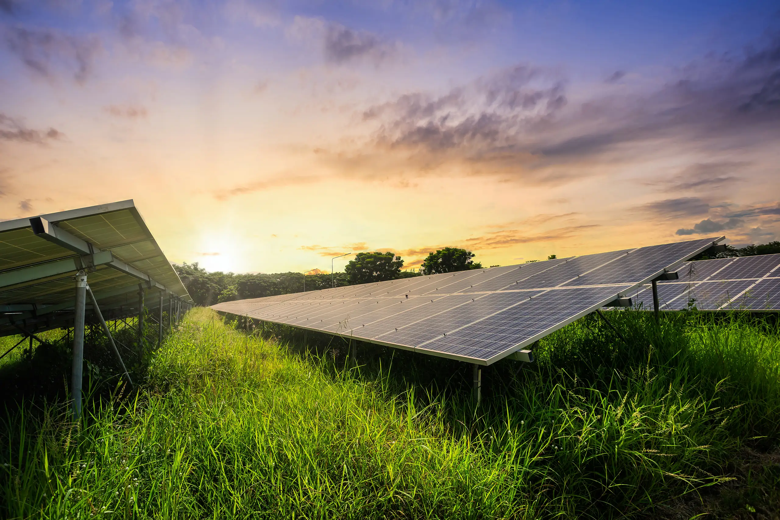 découvrez l'impact des panneaux solaires sur l'environnement, l'économie et votre consommation d'énergie. informez-vous sur les avantages d'une énergie renouvelable et durable, et comment les panneaux solaires peuvent transformer votre quotidien tout en réduisant votre empreinte carbone.