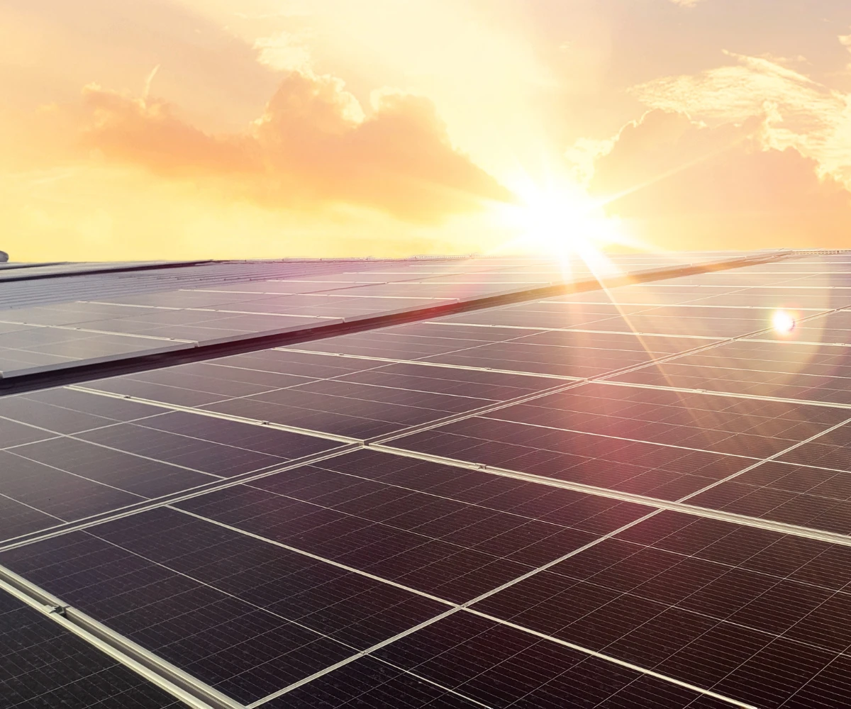 découvrez les prix et performances des panneaux photovoltaïques pour optimiser votre consommation d'énergie. comparez les options disponibles et choisissez la solution la plus adaptée à vos besoins, tout en contribuant à une énergie durable.