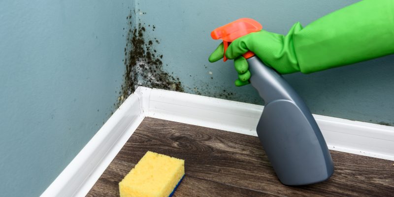 découvrez des méthodes efficaces pour éliminer les moisissures de votre intérieur. protégez votre santé et améliorez la qualité de l'air en suivant nos conseils pratiques et nos astuces de nettoyage.