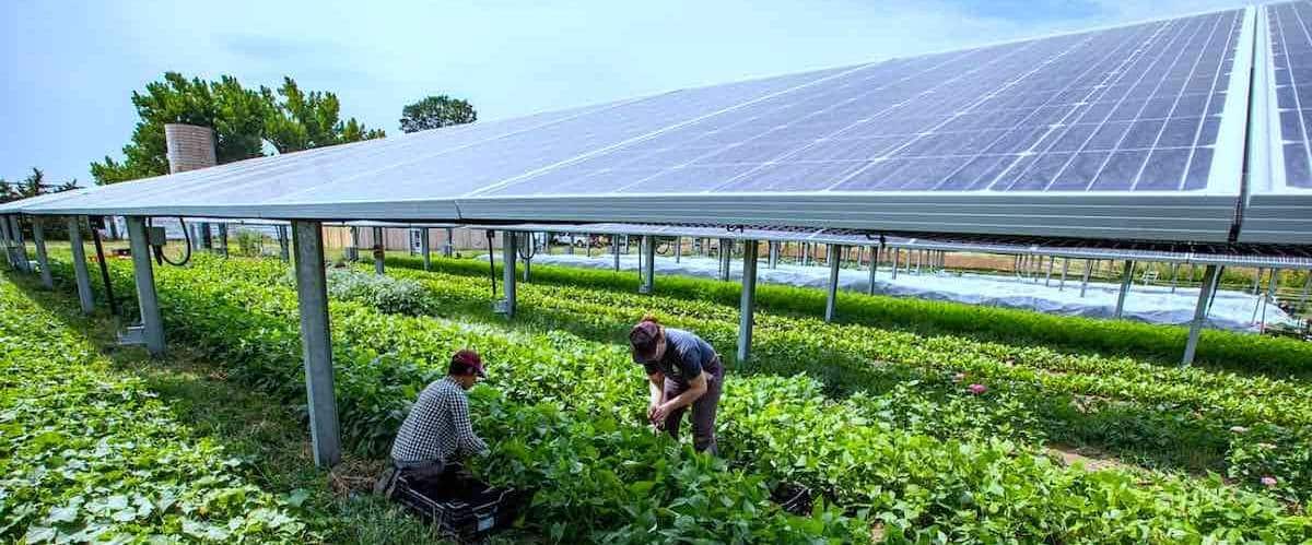 découvrez comment les panneaux photovoltaïques révolutionnent l'agriculture en optimisant l'utilisation des terres et en fournissant une source d'énergie renouvelable. explorez les avantages économiques et environnementaux de cette technologie durable pour les exploitations agricoles.