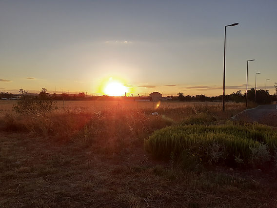 découvrez l'univers fascinant des peuplades solaires, où l'harmonie entre l'homme et la nature permet de vivre en toute autonomie grâce à l'énergie solaire. plongez dans un mode de vie durable et inspirant qui valorise les traditions tout en embrassant les innovations vertes.