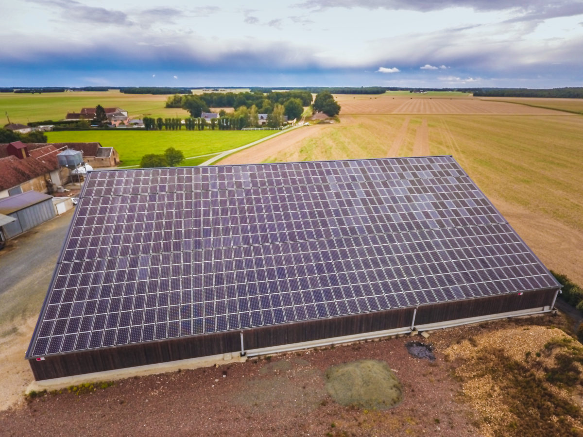 découvrez notre service de location de terres agricoles pour l'installation de panneaux photovoltaïques. profitez d'une solution durable et rentable pour produire de l'énergie renouvelable tout en valorisant vos terres. contactez-nous dès aujourd'hui pour en savoir plus!