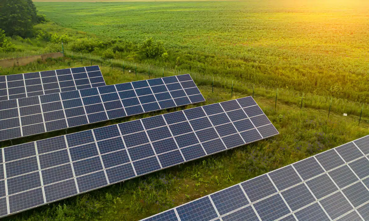 découvrez comment louer un terrain photovoltaïque pour maximiser votre investissement tout en contribuant à la transition énergétique. bénéficiez d'un revenu passif en mettant à disposition des espaces pour des installations solaires. informez-vous sur les avantages, les démarches et les opportunités offertes par la location de terrains dédiés à l'énergie solaire.